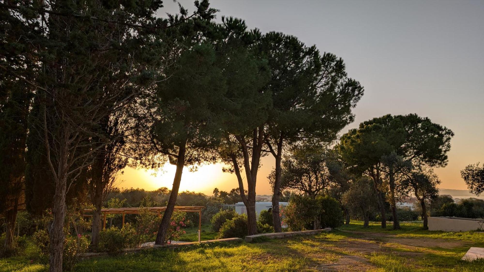 Casale Valverde Alghero Dış mekan fotoğraf
