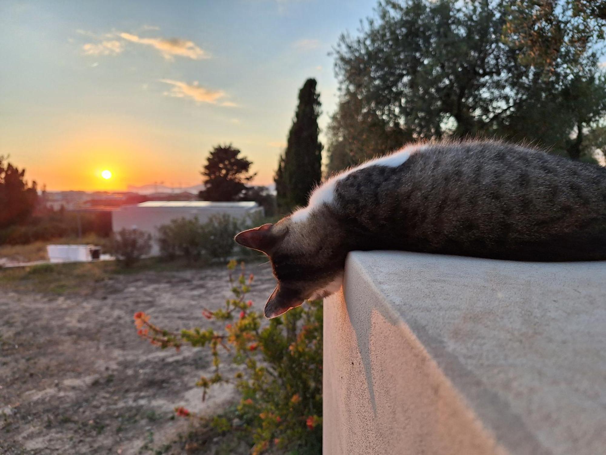 Casale Valverde Alghero Dış mekan fotoğraf