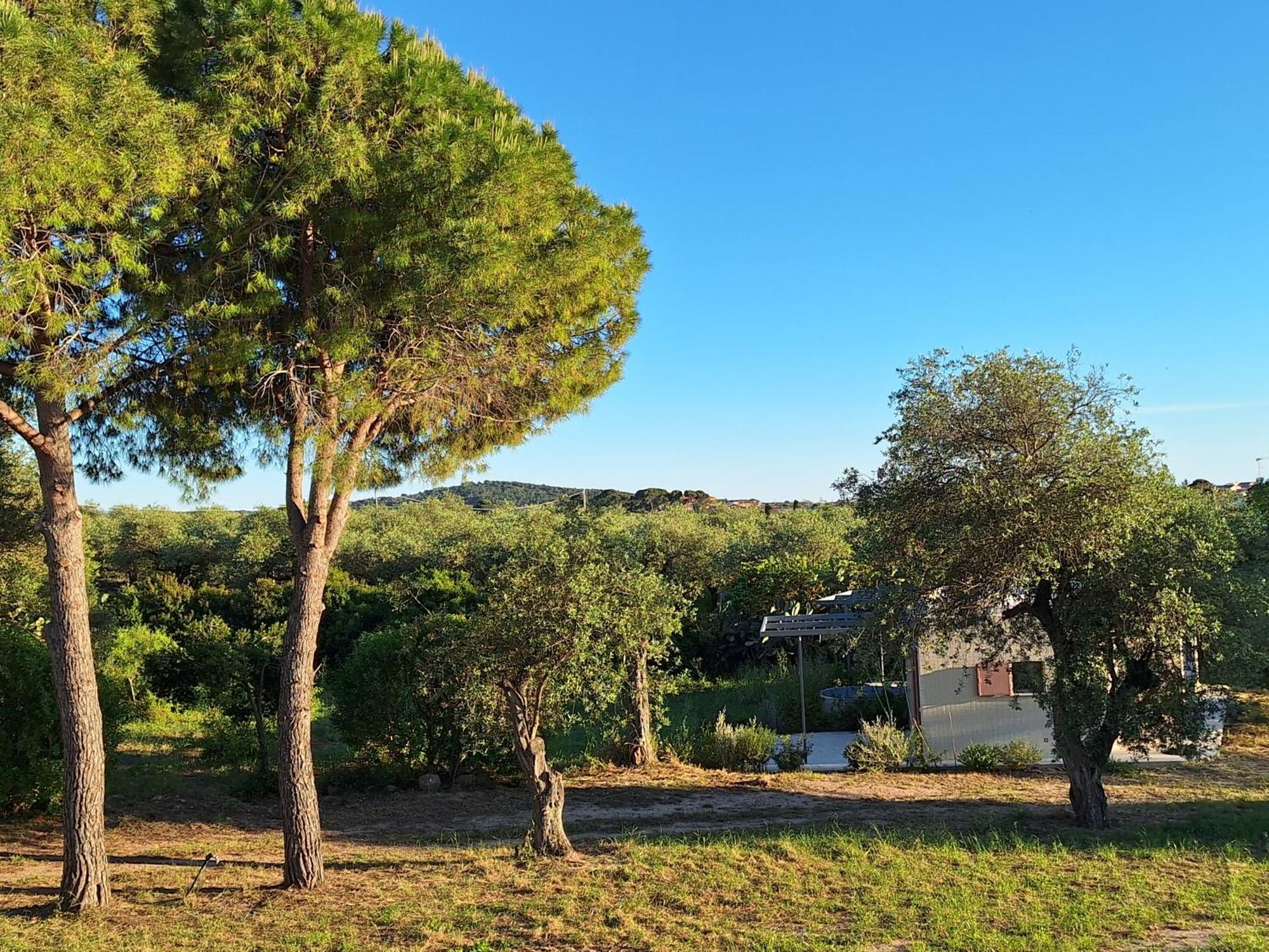 Casale Valverde Alghero Dış mekan fotoğraf